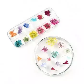 KADS 12Grids 3D сушеные цветы украшения для ногтей смешанные натуральные цветочные наклейки DIY наклейки для ногтей ювелирные изделия УФ-гель маникюр художественные аксессуары