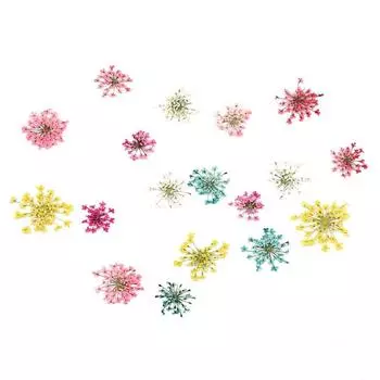 KADS 18 шт. 3D сушеный цветок 6 цветов настоящий сушеный цветок наклейка для УФ-гель-лака советы украшения для дизайна ногтей DIY аксессуары для маникюра