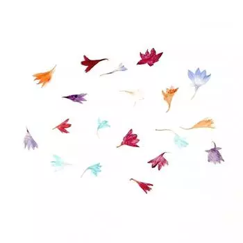 KADS 18 шт./пакет, сушеные цветы, украшения для дизайна ногтей, смешанные цвета, василек, настоящие натуральные цветочные кончики «сделай сам», весна-лето, аксессуары для ногтей