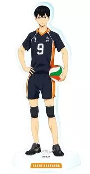 Kageyama Tobio Acrylic 20cm Karasuno High Haikyuu Official Merchandise Stand, Tall, School,
