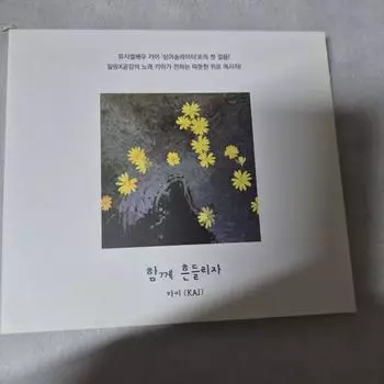 Кай Ди Сингх CD