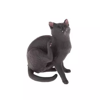 как изображение 4