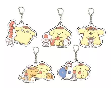 Как сохранить мумию x Pompompurin 01 акриловая шкатулка для ключей