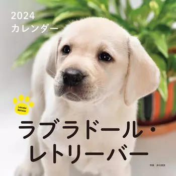 Календарь 2024 Лабрадор Ретривер (Календарь Seibundo Shinkosha)