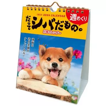 Календарь Active Corporation 2024 на рабочем столе, потому что с января 2024 года наступает Шива. 24ACL-566