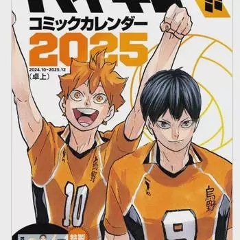 Календарь комиксов Haikyu 2025 с 15 специально разработанными карточками