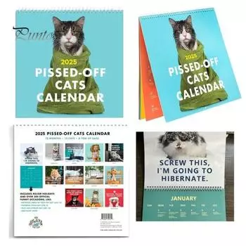 Календарь Pissed-Off Cats на 2025 год. Забавный календарь с изображением кошек. Уникальный настенный календарь. Ежедневный планировщик расписания для домашнего офиса. A
