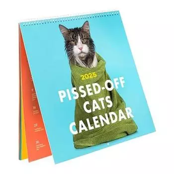 Календарь Pissed-Off Cats на 2025 год. Забавный календарь на тему кошек. Уникальный настенный календарь. Ежедневный планировщик расписания для