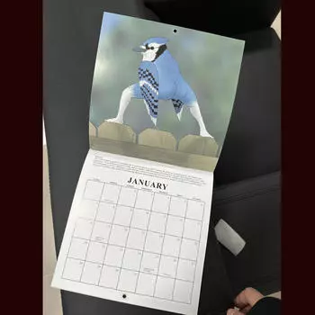 Календарь забавных птиц, креативный ежемесячный планировщик, украшение для дома