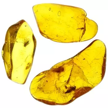 камень натуральный ископаемый янтарь с насекомым [N2 Natural] (Набор 3)