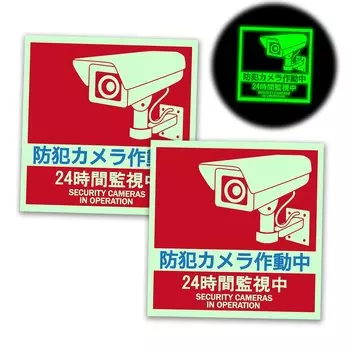 Камера видеонаблюдения влаго- и светостойкая, 2 наклейки, эксплуатация, (фосфоресцирующий тип, шт.) красный