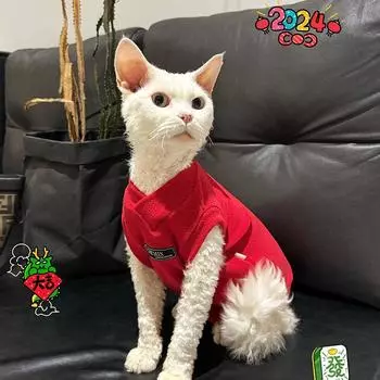 Канадский сфинкс лысый кот одежда Интернет красный однослойный тонкий бархат красивый немецкий кот эластичная основа майка XS code (about 2-1.5 kg)