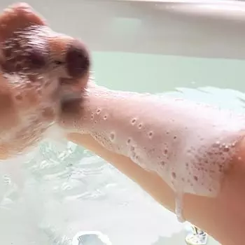 Капибара, губка для ванны, мяч, милый мультфильм, животное, щетки для душа, щетка для мытья тела, мыльные пузыри, губки, аксессуары для ванной комнаты