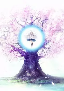 Капо Первое издание D.C.5 ~Da 5~