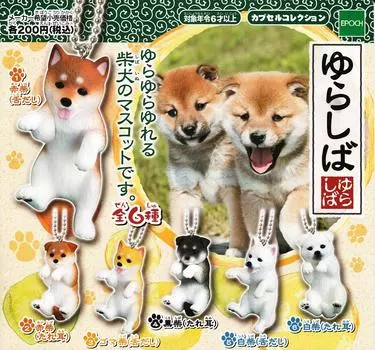 Капсула Юрашиба все 6 видов набор