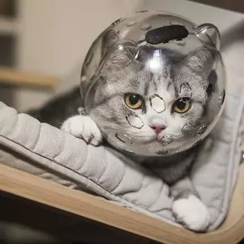 Капюшон для кошек Space, ошейник для лижущих кошек, дышащий капюшон для стыда, Элизабет-Ринг S