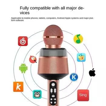 Караоке-микрофон для детей, поющих, 5 в 1, беспроводной Bluetooth-микрофон со светодиодной подсветкой, портативный микрофон, динамик