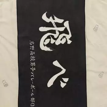 Karasuno Banner