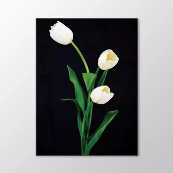 Картина Белые Тюльпаны