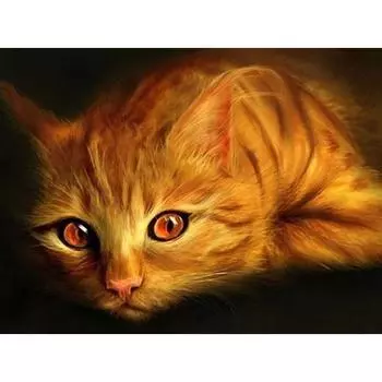 Картина маслом HUACAN, холст, пляжный кот, 5D вышивка, алмазные стразы, наклеенная, сделай сам, вышивка крестиком 30*40 cm