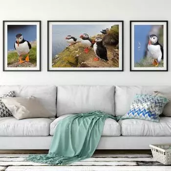 Картина маслом на холсте с изображением животных, перелетных птиц с красным клювом, офисная гостиная, коридор, украшение для дома, настенная живопись без рамки 21*30cm No Frame