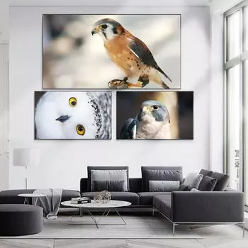 Картина маслом с животными, филин, глядя вверх, художественная картина на холсте, для офиса, гостиной, коридора, украшение дома, фреска без рамки 20*40cm