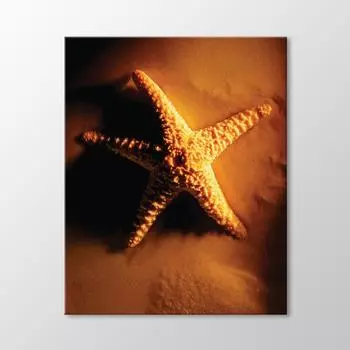 Картина Морской Звезды