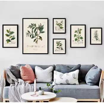 Картина на холсте, ботаника, настенные художественные фотографии, декор, ботанические исследования, винтажные постеры и принты, антикварные французские иллюстрации растений 21cm30cm NoFrame