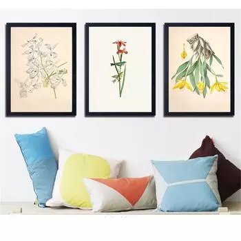 Картина на холсте, постеры с цветами ириса, винтажные принты, настенные панно для гостиной, украшение для ребенка, декор для комнаты, кухни 21cm30cm NoFrame