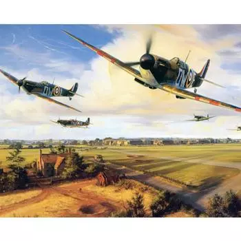 Картина по номерам DIY 40x50 см самолет в поле пейзаж холст свадебное украшение художественная картина подарок 40x50cm no frame