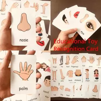 Карточки для познания детей Части тела Животные Фрукты Английские слова Листы с животными Цветные картинки Картинки с овощами Развитие ребенка