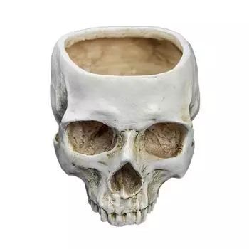 Кашпо в виде черепа Подвесное Кашпо в виде человеческого черепа Хэллоуин Конфеты белый