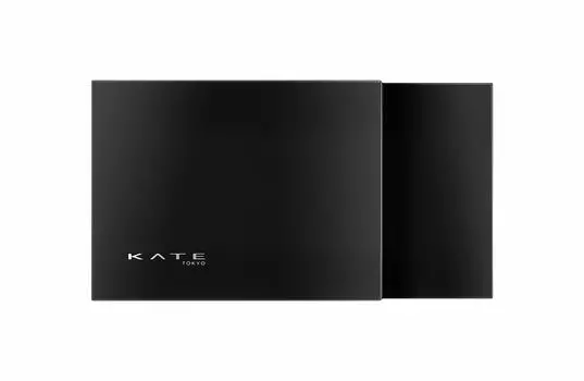 KATE Kate Skin Cover Filter Foundation Case 1 шт. (х 1)