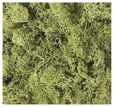 KATO Diorama Supplies Природные материалы Растения Светло-зеленые Принадлежности для моделей железной дороги 24-332