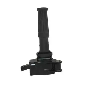 Катушка зажигания 221604024