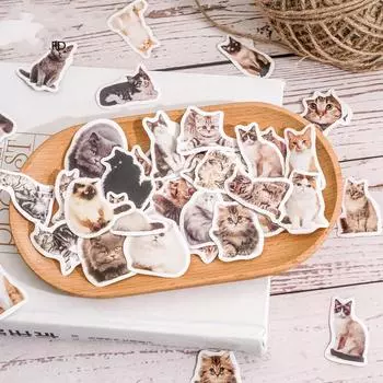 Кавайная наклейка с котом, милая наклейка для девочек, кавайная мультяшная наклейка принцессы для девочек, милая наклейка для DIY, декоративная наклейка для бутылки для скрапбукинга, багажа 45pcs