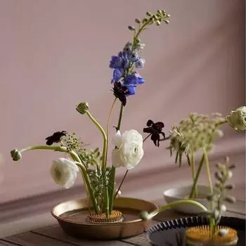 Кензан чёрный