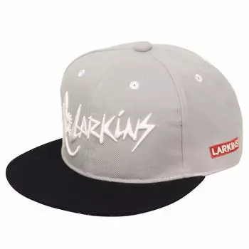 Кепка BB бейсболка USA Logo бейсболка большая ящерица черная 16a224 lktm096 один размер [Larkins] мужская женская серая/черная