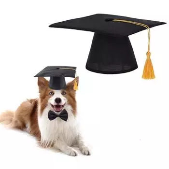 Кепка для выпускного бала для кошек и собак, костюм для косплея, регулируемая шляпа для питомца, позирующая для выпускного, бакалавра, кепка для ролевой игры