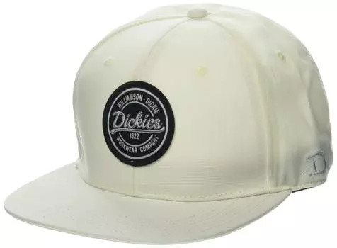 Кепка мужская Dickies Flat Bill Duck One Size, бежевая, бежевый