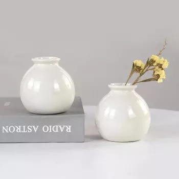 Керамическая ваза для цветов, скандинавские вазы для гидропоники для украшения дома, комнаты, мини-цветочные растения, белые горшки для бутылок, настольное украшение