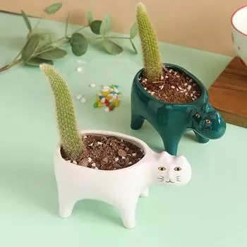 Керамический цветочный горшок, милая форма кошки, садовые горшки, кактус, сочные растения, кашпо, контейнер для растений, украшение дома, настольные украшения белый
