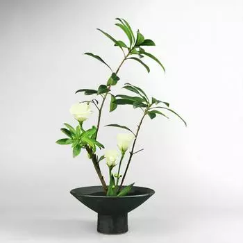 Керамический цветочный горшок Ваза для цветов Hiroguchi Китайский стиль Цветочная композиция Изделия Цветочные аксессуары Аксессуары для суккулентных растений в горшках