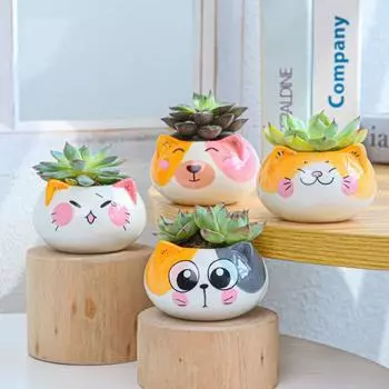Керамический декор стола ручной работы мультяшные суккуленты в горшках садовые принадлежности цветочный горшок бонсай аксессуары 2
