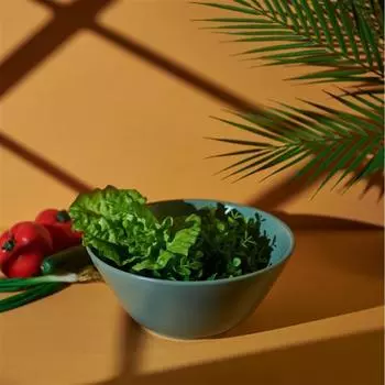 Керамика Hittite Чаша 24 см Зеленый