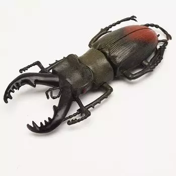 Kids Beetle Figures Fake Beetle Simulation Beetle Beetle Toys Special Lifelike Model Insect Model 1