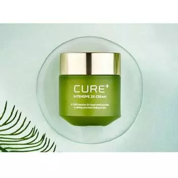 Kim Jeong-moon Aloe Cure Интенсивный 2x крем 50 г 1 P