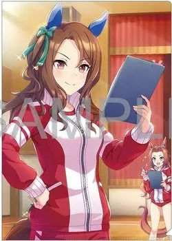 King Halo Clear File Uma Musume Pretty Derby Class Официальные товары [Первое планирование]