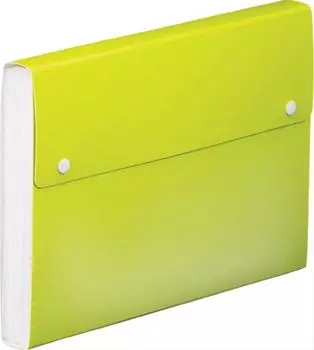 King Jim Document File Toffy 13 Pockets A4 Yellow Green 2273TF-YG