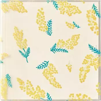 King Jim Notebook Hitoki Dot Graph Square Size Mimosa HN-S02